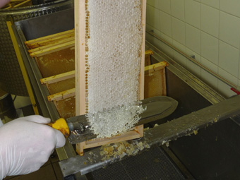 Zpracování medu